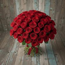 Букет 55 Красных роз Фридом #REPLACE_PRED# Верее