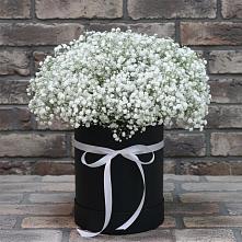 Цветочная композиция из Гипсофила в шляпной коробке в Верее