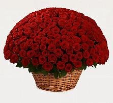 Премиум букет из: Розы в Верее